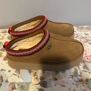 Brand New-Ugg Tazz in Chestnut